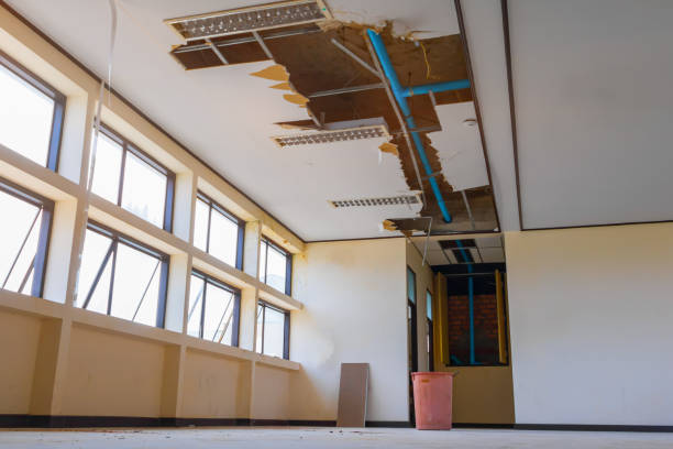 Best Fire Damage Restoration  in Toluca, IL