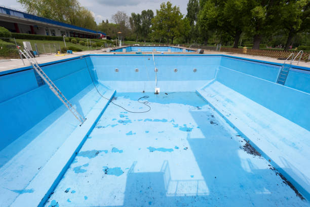 Best Mold removal after water damage  in Toluca, IL