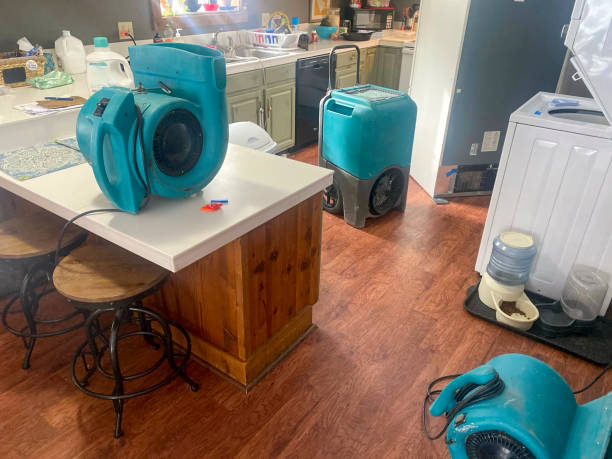 Best Water damage repair service  in Toluca, IL