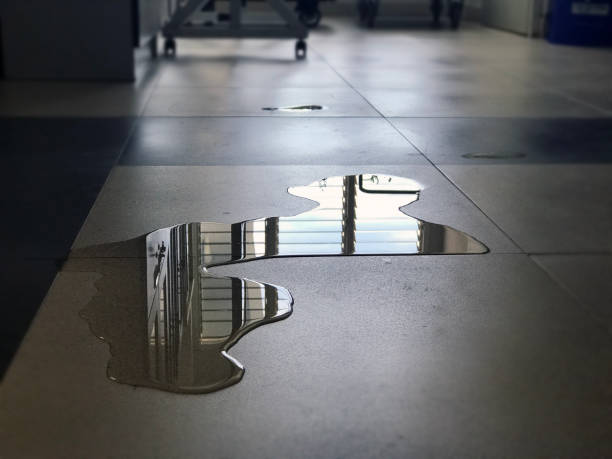 Best Carpet water damage restoration  in Toluca, IL