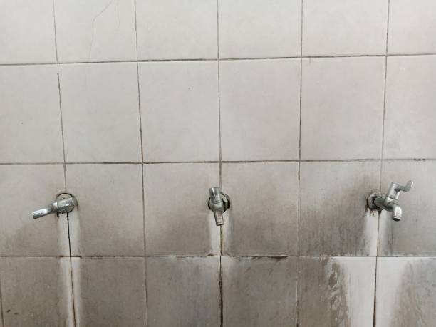 Best Flood restoration services  in Toluca, IL