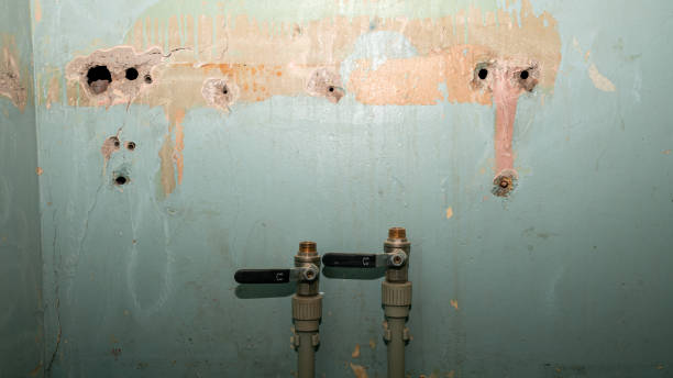 Best Water damage restoration near me  in Toluca, IL