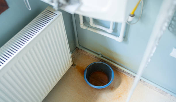 Water damage restoration mold remediation in Toluca, IL