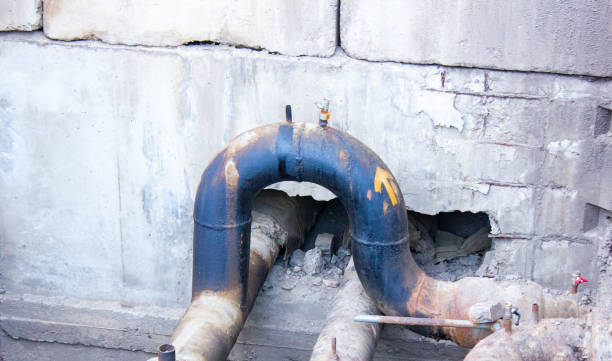 Best Flood damage cleanup  in Toluca, IL