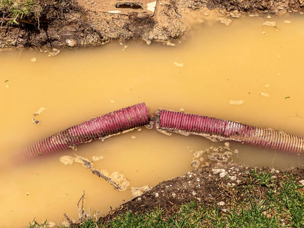 Best Local water damage restoration  in Toluca, IL