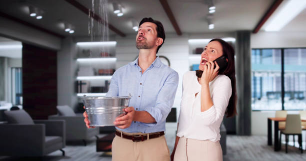 Best Professional water damage repair  in Toluca, IL