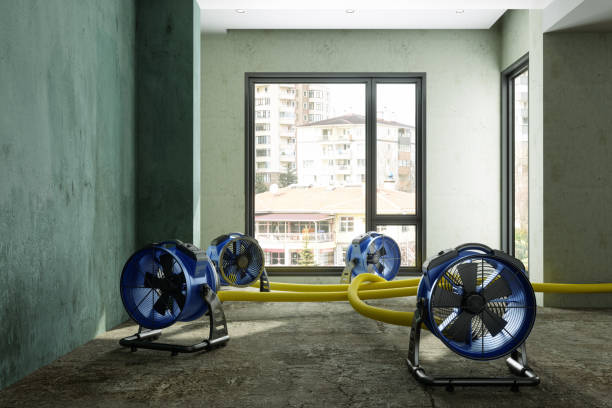 Water damage restoration process in Toluca, IL